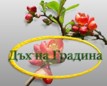 Когато създаваме Градина Когато създаваме Градина